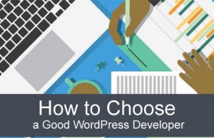 How to Choose a Good WordPress Developer